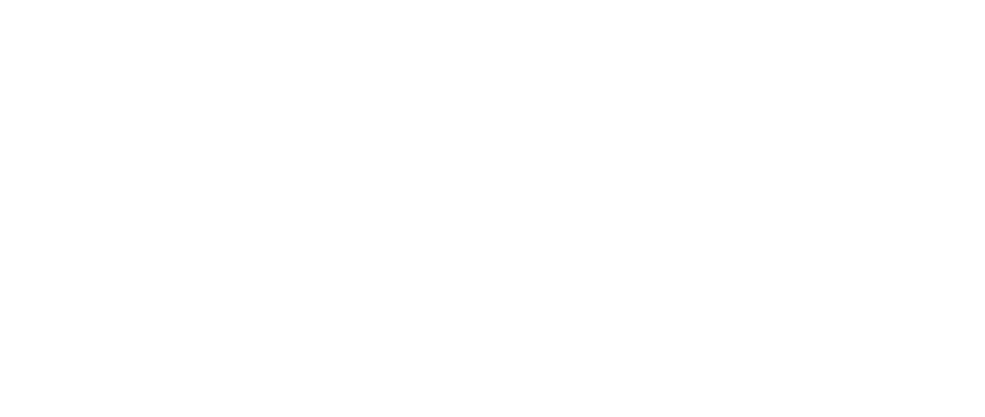 ST NEER Limited